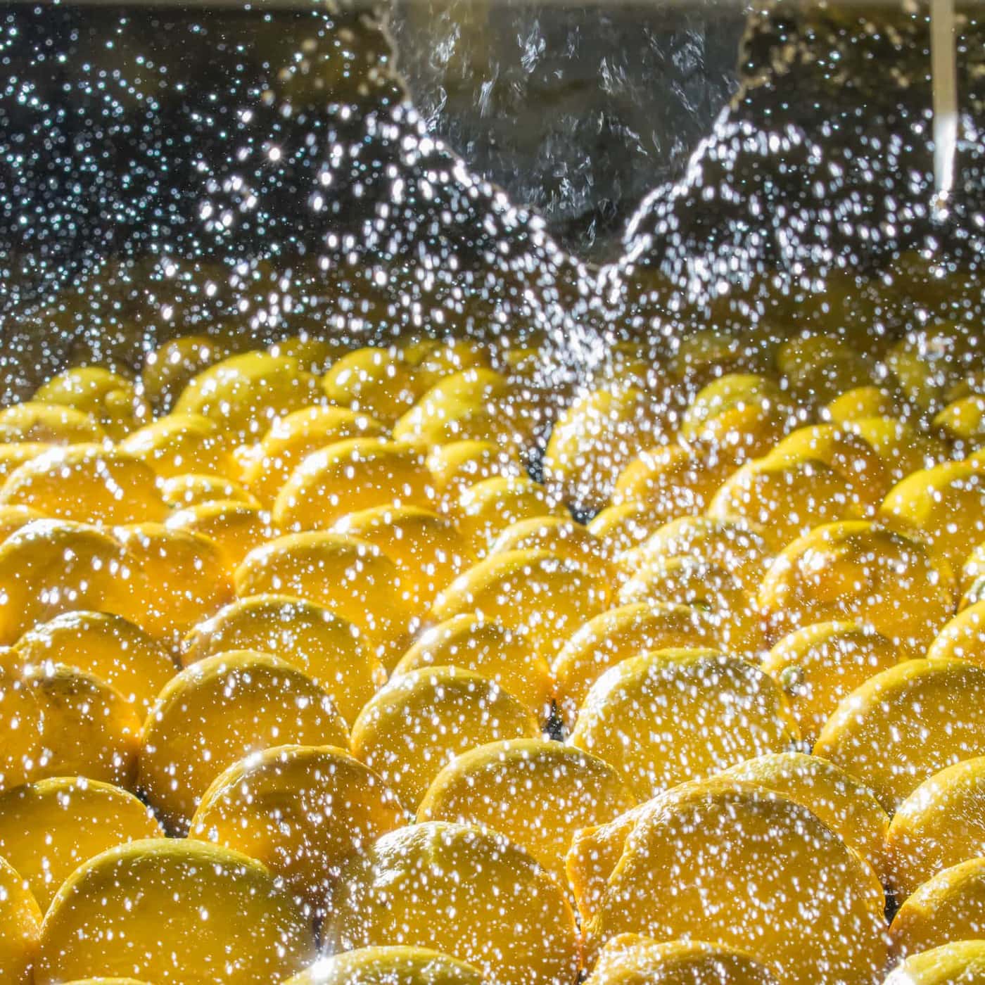 Citrus grown, packed and exported by Emira Fresh Food