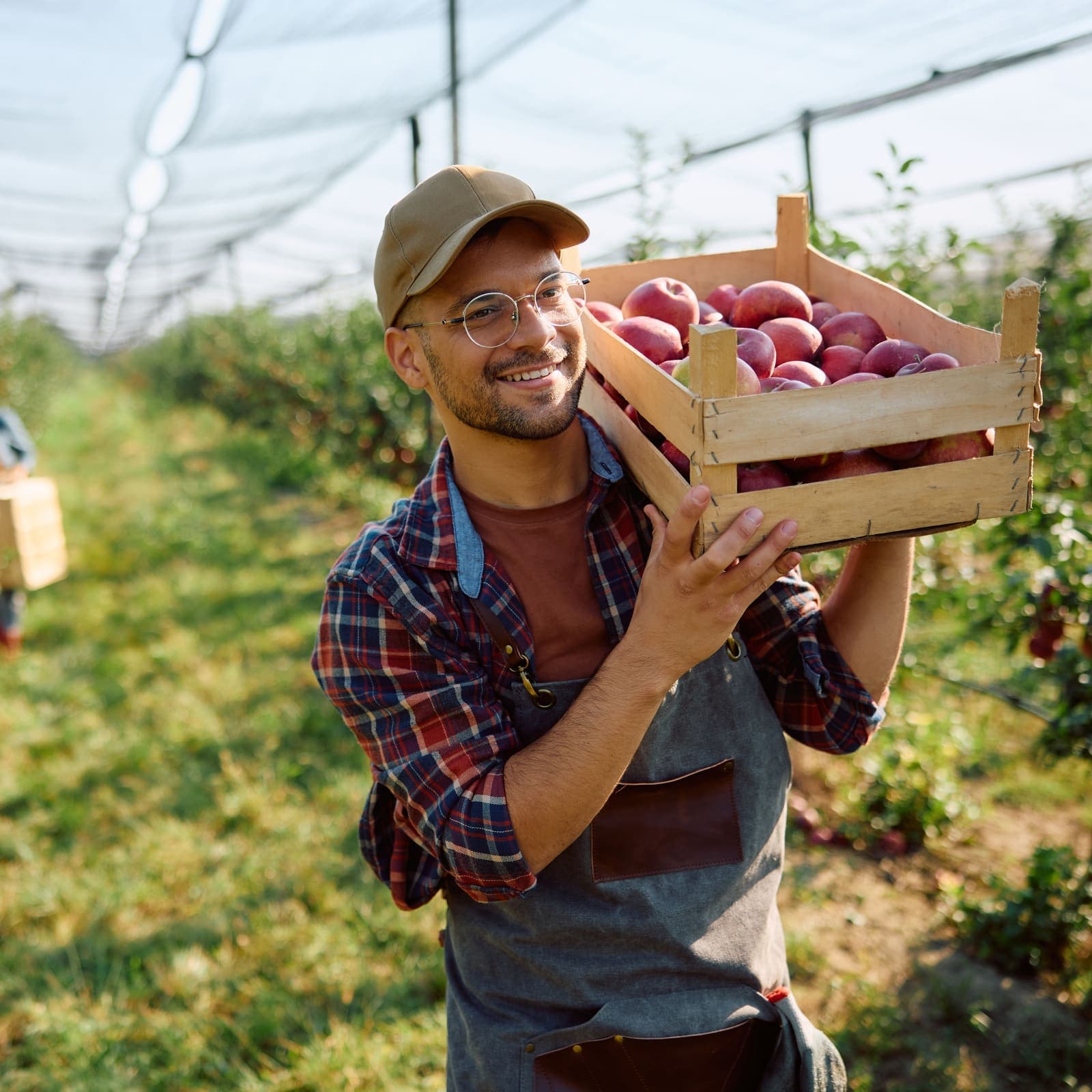 Fruits grown, packed and exported by Emira Fresh Food