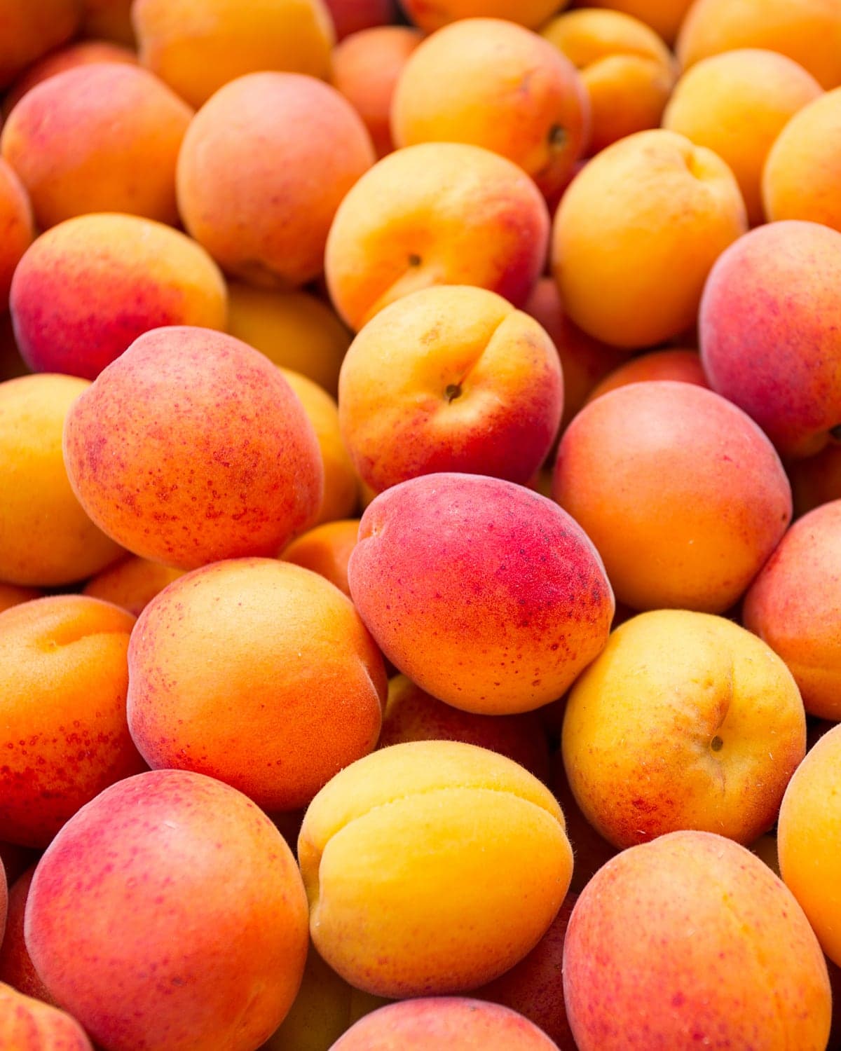 Apricot — Early Ninfa from Mersin in May, Malatya main crop through July.