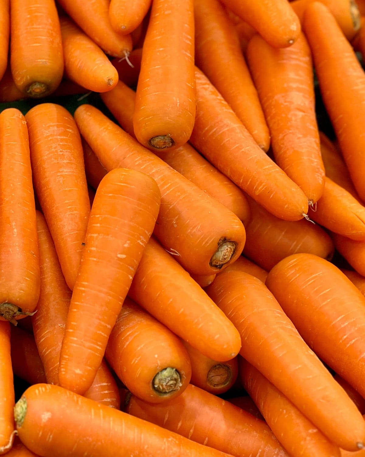 Nantes carrot, in season now