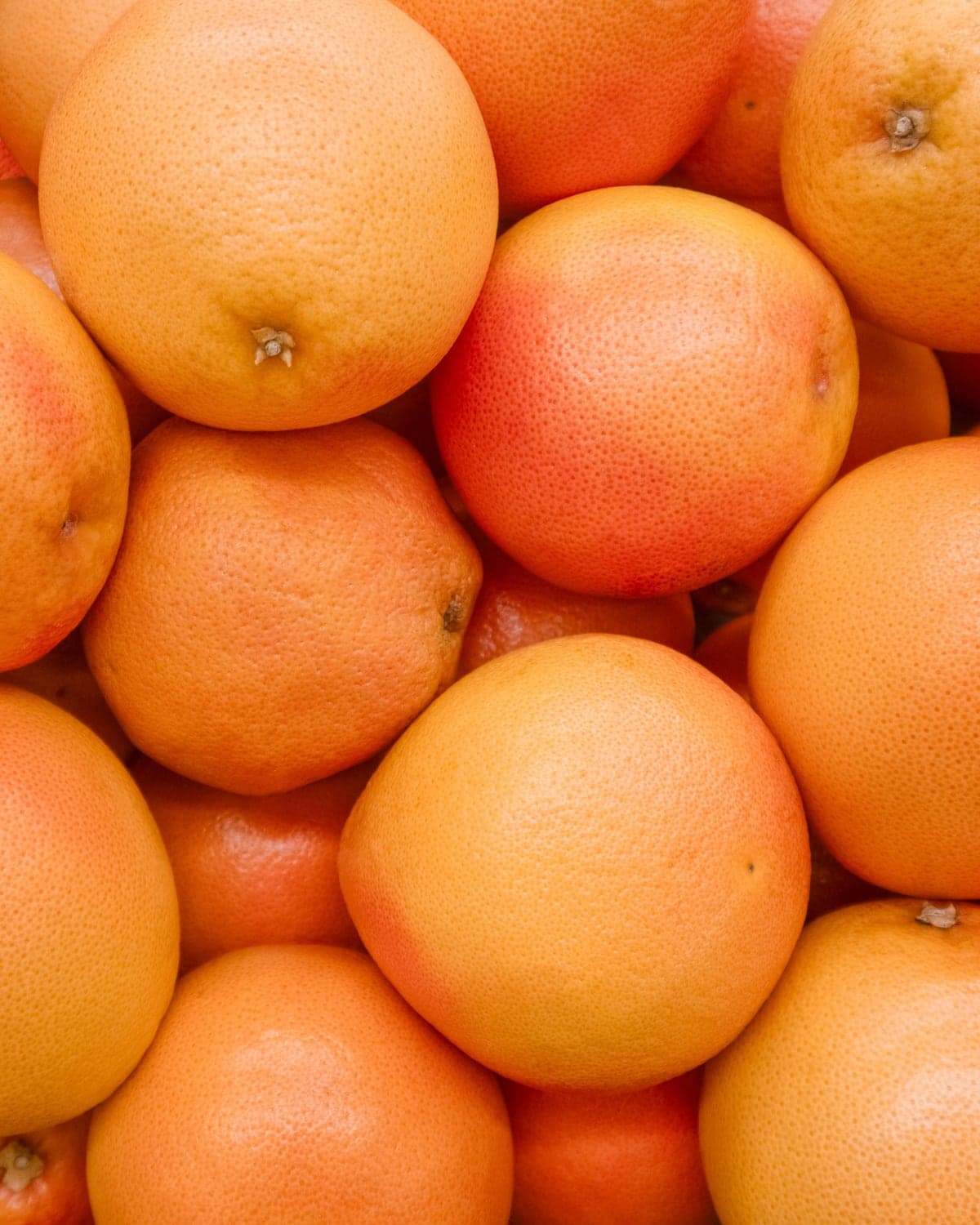 Grapefruit — Deep-red Star Ruby and Rio Red from November, plus white Marsh Seedless.