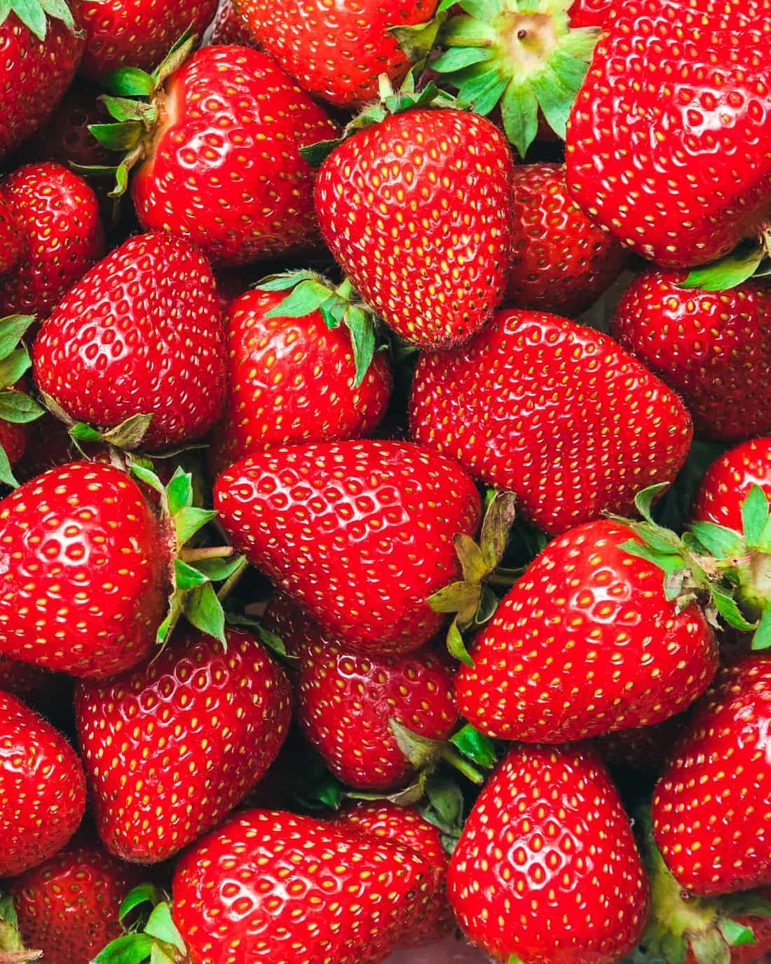 Strawberry — Silifke under protection from December — a winter berry when most of Europe has none.