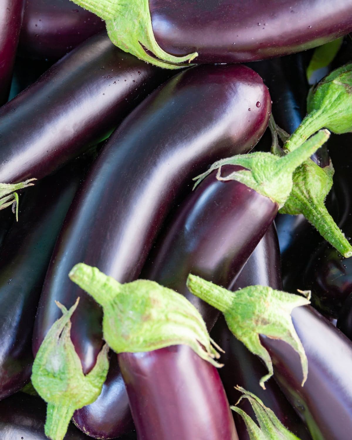 Eggplant — Globe Topan and long Kemer types — glossy, calyx-green, October to June.