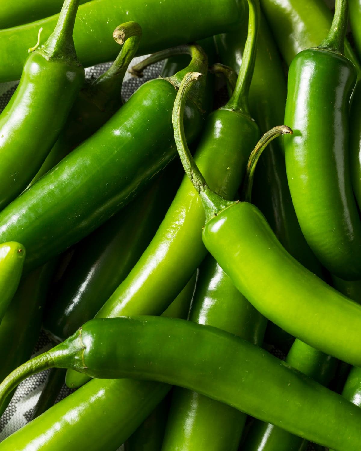 Pepper — Blocky, Kapya, Charleston and Turkish long green — protected crop October to June.