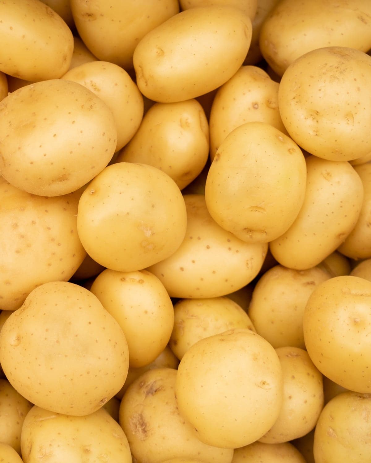 Potato — Agria and Marfona from the Cappadocian highlands — September lift, supply to June.