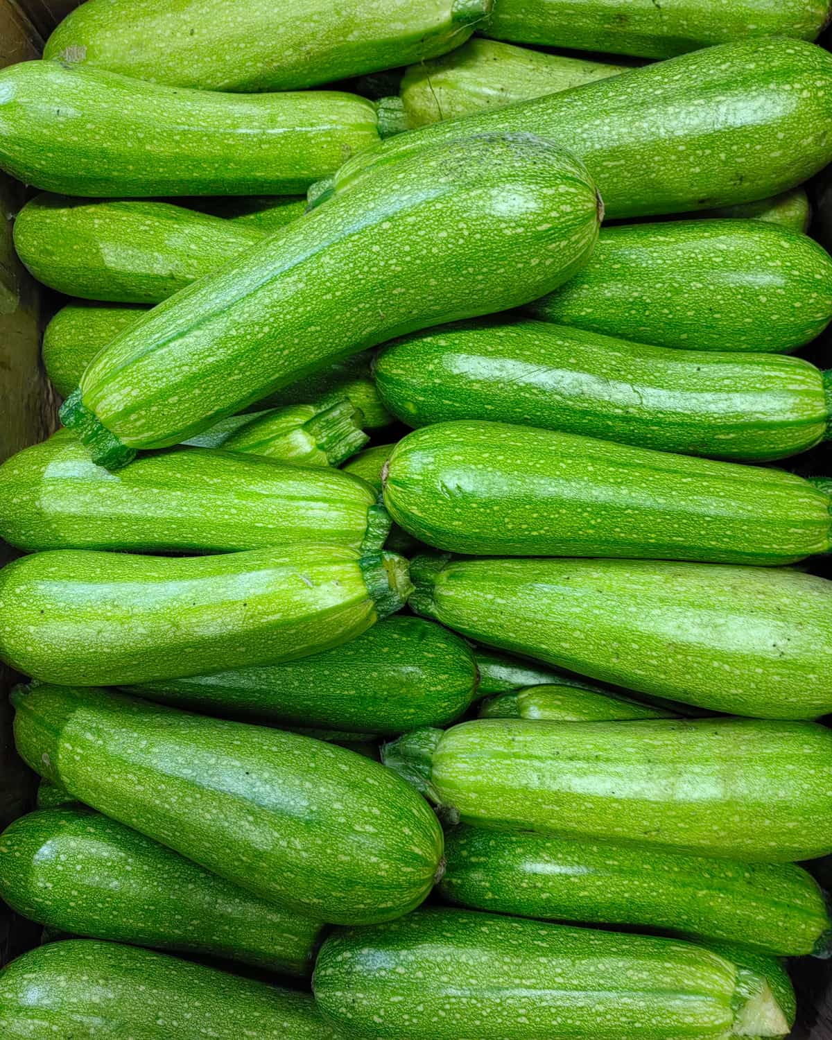 Zucchini — Dark green and Turkish pale types from Antalya, October to June.